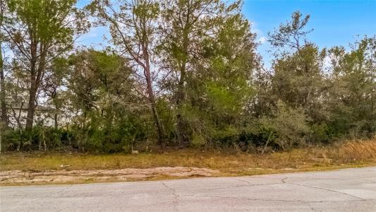 614 Alafia Place, KISSIMMEE, Florida 34759, USA