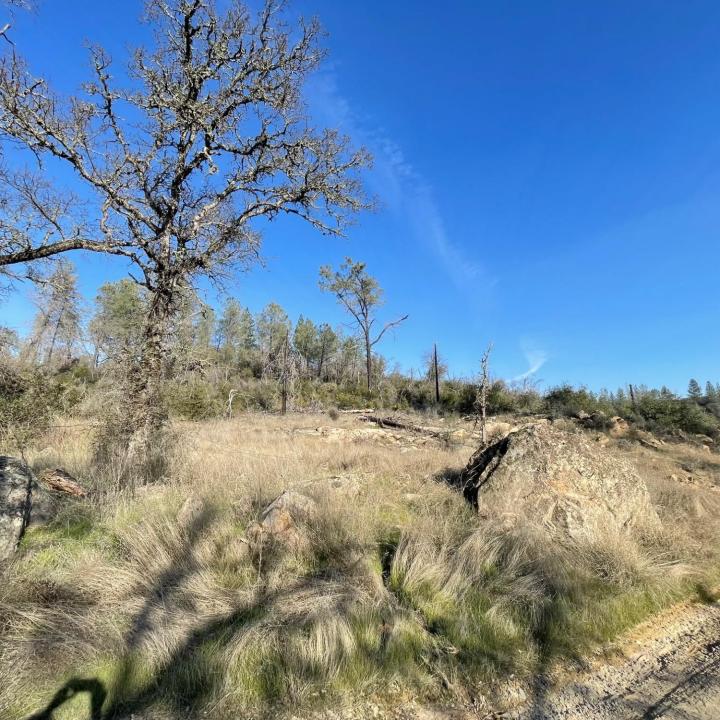 Deer Valley Road, Bangor, California 95914, Estados Unidos