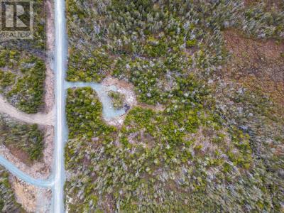384 OWL DRIVE, East Petpeswick, Nova Scotia B0J 2L0, Canada