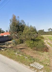 Vagos, Aveiro 3840-507, Portugal