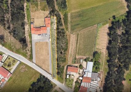 Vagos, Aveiro 3840-507, Portugal