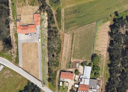 Vagos, Aveiro 3840-507, Portugal