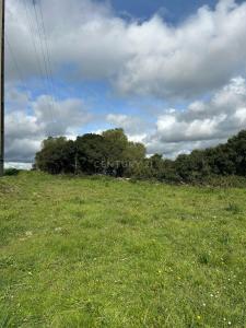Sintra, Lisbon 2715-015, Portugal