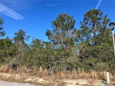 17 Rudbeckia Court, Homosassa, פלורידה 34446, ארצות הברית של אמריקה