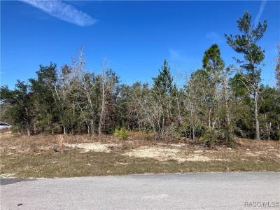 17 Rudbeckia Court, Homosassa, פלורידה 34446, ארצות הברית של אמריקה