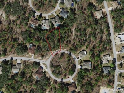 17 Rudbeckia Court, Homosassa, פלורידה 34446, ארצות הברית של אמריקה