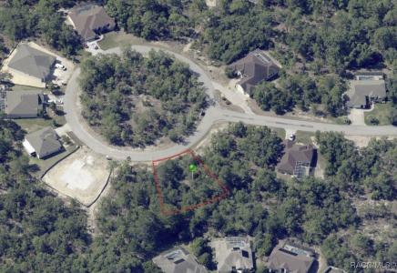17 Rudbeckia Court, Homosassa, פלורידה 34446, ארצות הברית של אמריקה