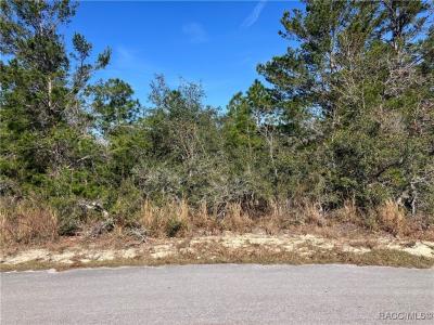 19 Rudbeckia Court, Homosassa, פלורידה 34446, ארצות הברית של אמריקה