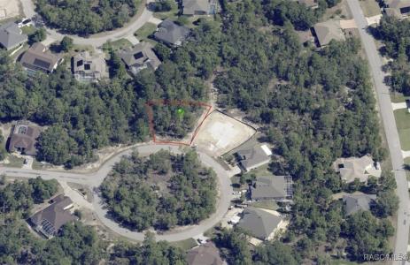 19 Rudbeckia Court, Homosassa, פלורידה 34446, ארצות הברית של אמריקה