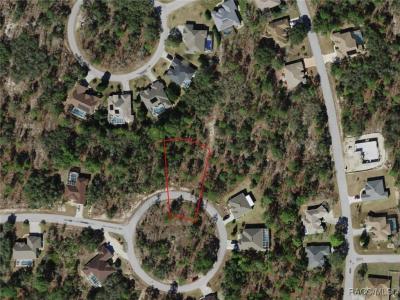 19 Rudbeckia Court, Homosassa, פלורידה 34446, ארצות הברית של אמריקה