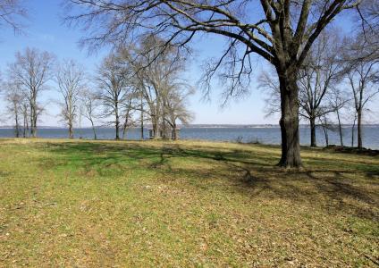 Lots 7-8 County Road 1516, Alba, テキサス 75410, アメリカ合衆国