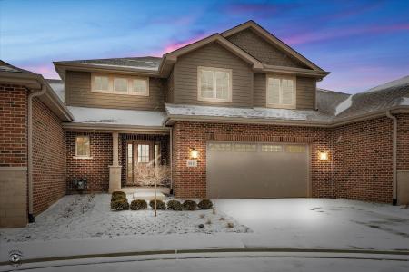 8918 Buffington Breakwater Drive, Frankfort, Illinois 60423, États-Unis