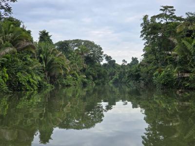 Cattle Landing, Toledo 00001, Belize