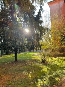 Piazza Giacomo Matteotti, Bergantino, Veneto 45032, Italia