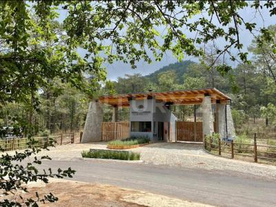 Carretera a chiquilistlan km 13,, Chiquilistlan, Jalisco 48640, Mexico