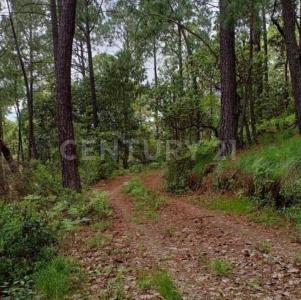 Carretera a chiquilistlan km 13,, Chiquilistlan, 哈利斯科 48640, 墨西哥