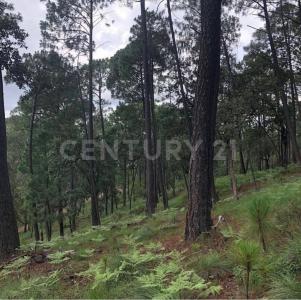 Carretera a chiquilistlan km 13,, Chiquilistlan, 哈利斯科 48640, 墨西哥