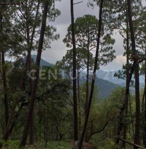 Carretera a chiquilistlan km 13,, Chiquilistlan, 哈利斯科 48640, 墨西哥