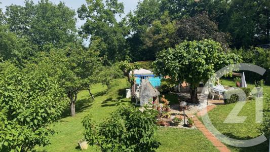 Saintes, Poitou-Charentes 17100, Francia