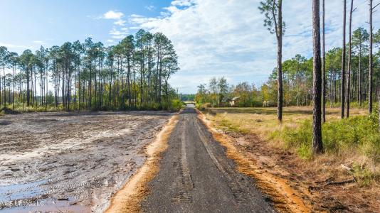 Holiday Drive, Ocean Springs, Mississippi 39564, HOA KỲ