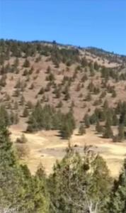 0 B Lookout Hackamore , B, Lookout, カリフォルニア 96054, アメリカ合衆国