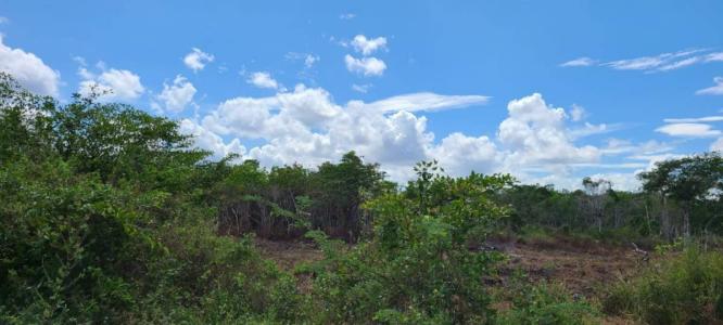 Belize District, Belize District 00001, Bélize