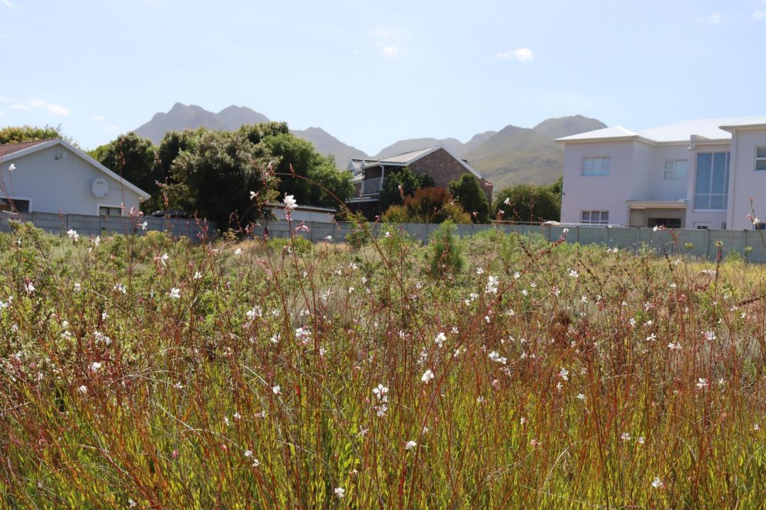 Kleinmond, Western Cape, Sudafrica