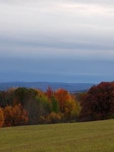900 Town Line Rd, Johnson City, New York 13790, États-Unis