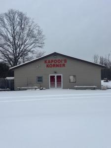 12016 N Woodbridge Avenue, Bitely, Michigan 49309, USA