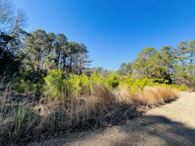 6017 Harbour Way, Oriental, NC 28571, USA