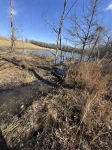 000 County Road 359, Thayer, Missouri 65791, États-Unis