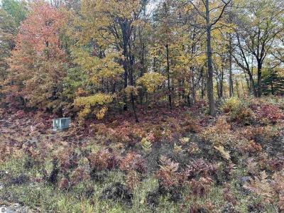 Lot # 5 N Circle E, Farwell, 미시건 48622, 미국