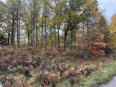 Lot # 5 N Circle E, Farwell, 미시건 48622, 미국