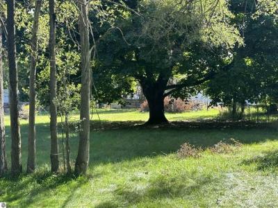 11253 Deer Lake, Clare, Michigan 48617, Amerika Birleşik Devletleri
