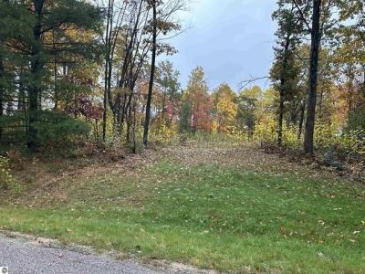 Lot #6 N Circle E, Farwell, 미시건 48622, 미국