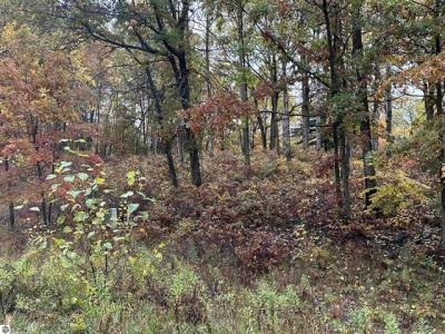 Lot #6 N Circle E, Farwell, 미시건 48622, 미국