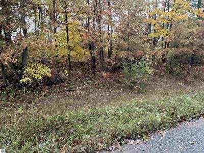 Lot #6 N Circle E, Farwell, 미시건 48622, 미국