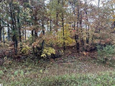 Lot #6 N Circle E, Farwell, 미시건 48622, 미국