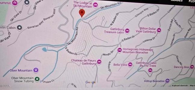 1188 Ski Mountain Road, Gatlinburg, 테네시 37738, 미국