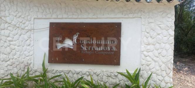 Carmen De Apicala, Tolima 00001, Colombie