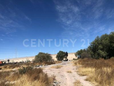 San Luis Potosi, San Luis Potosi 78100, Mexico