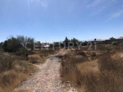 San Luis Potosi, San Luis Potosi 78100, Mexico