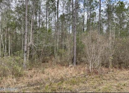 Ms 43 Parcel 2, Kiln, Mississippi 39556, USA