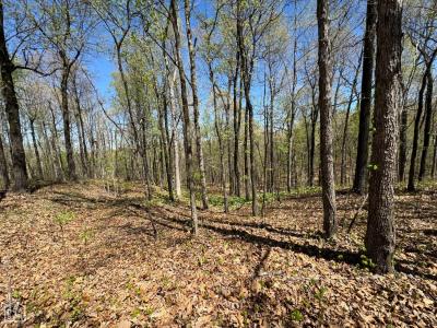1 County Rd 431, Pollard, Arkansas 72456, USA