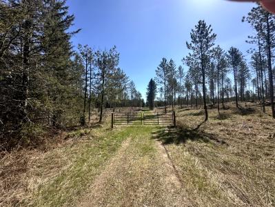 78.5 AC Monheim Rd, Conover, Wisconsin 54519, USA