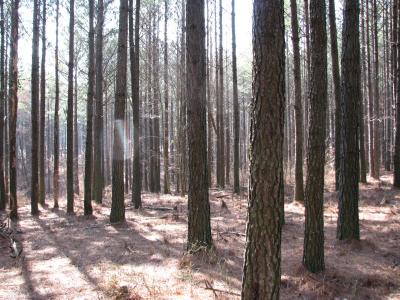 0 High Point Lane, Jasper, テネシー 37347, アメリカ合衆国