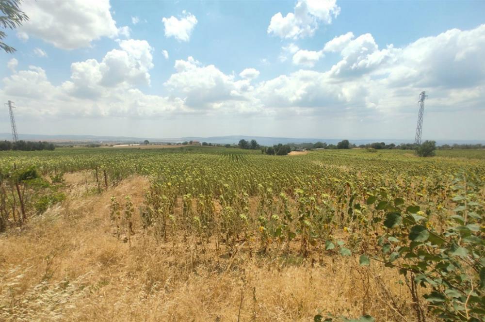 Edirne, Turkey
