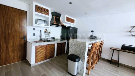 Calle 52 por 5ta y 1ra. ,, Solidaridad / Riviera Maya, 金塔纳罗奥 77710, 墨西哥