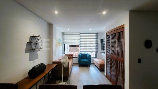 Calle 52 por 5ta y 1ra. ,, Solidaridad / Riviera Maya, 金塔纳罗奥 77710, 墨西哥