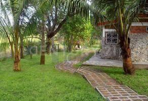 Lazaro Cardenas S/N,, Pueblo Viejo, Veracruz 92037, Mexique